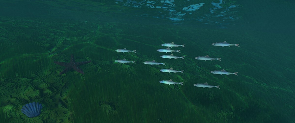 Dockside Dreams – Fish & Cook Simulator